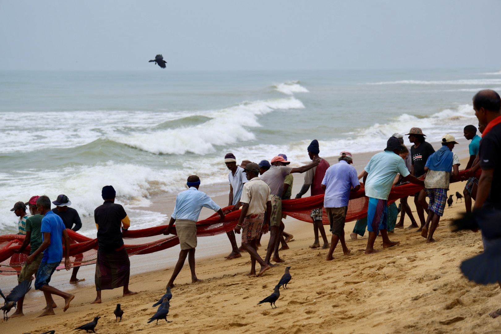 vissers aan het werk met vogels die er omheen vliegen