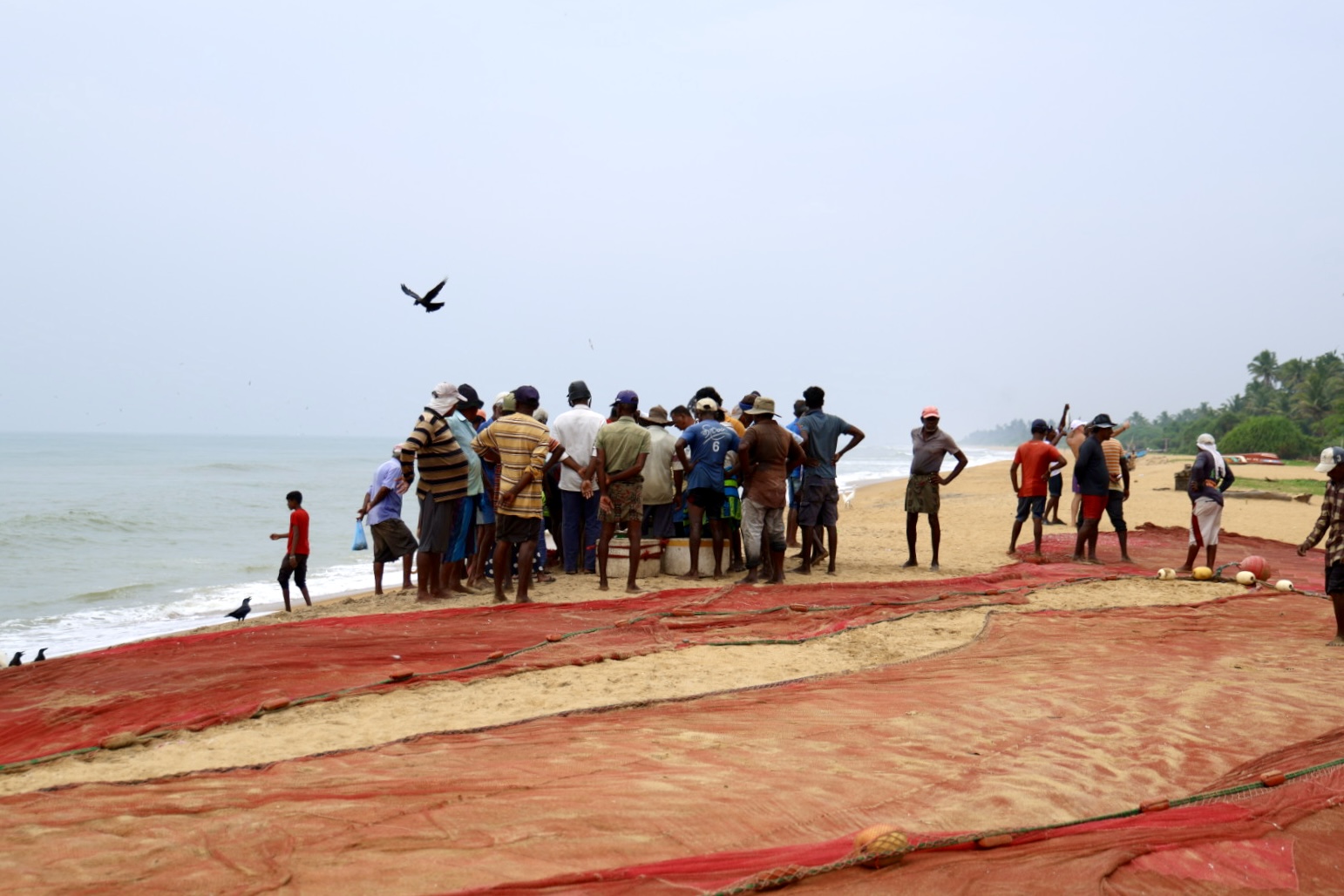 Vissers bekijken de buit van de dag