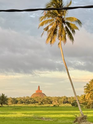 Anuradhapura stupa’s uitkijkpunt