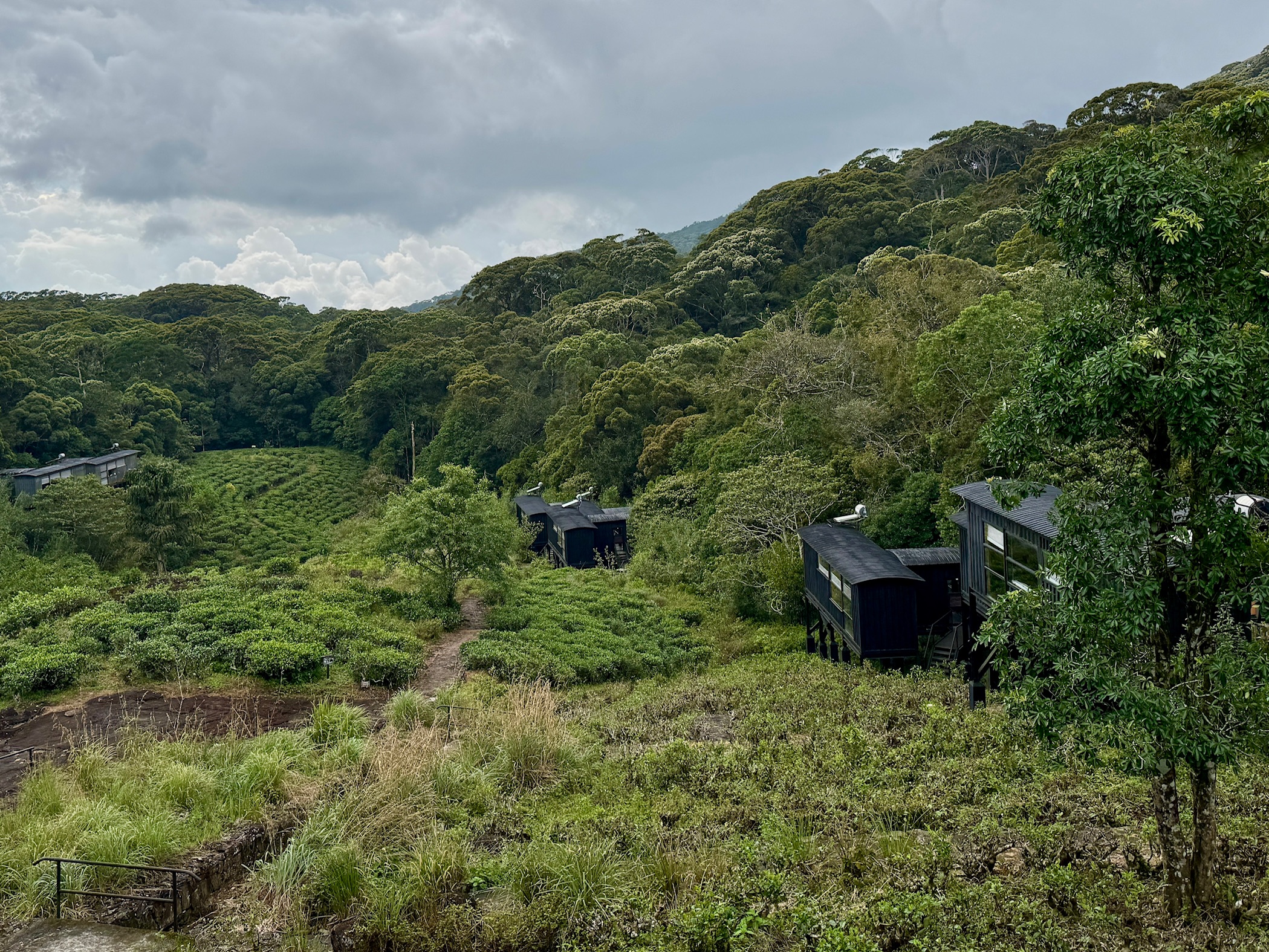 The Rainforest Ecolodge in Sri Lanka
