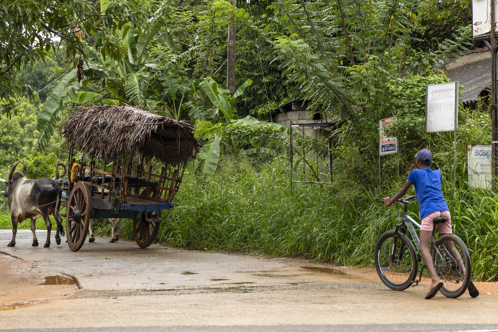 Een huifkar staat al klaar voor de rit naar de kookworkshop