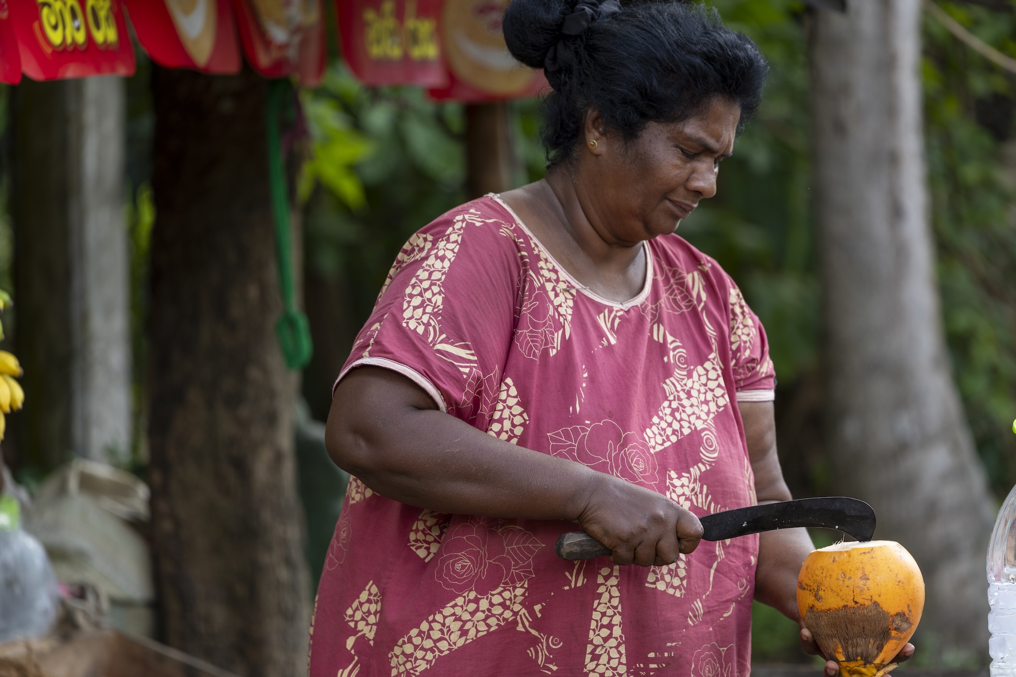 Sri Lankaanse vrouw maakt een kokosnoot schoon om te drinken