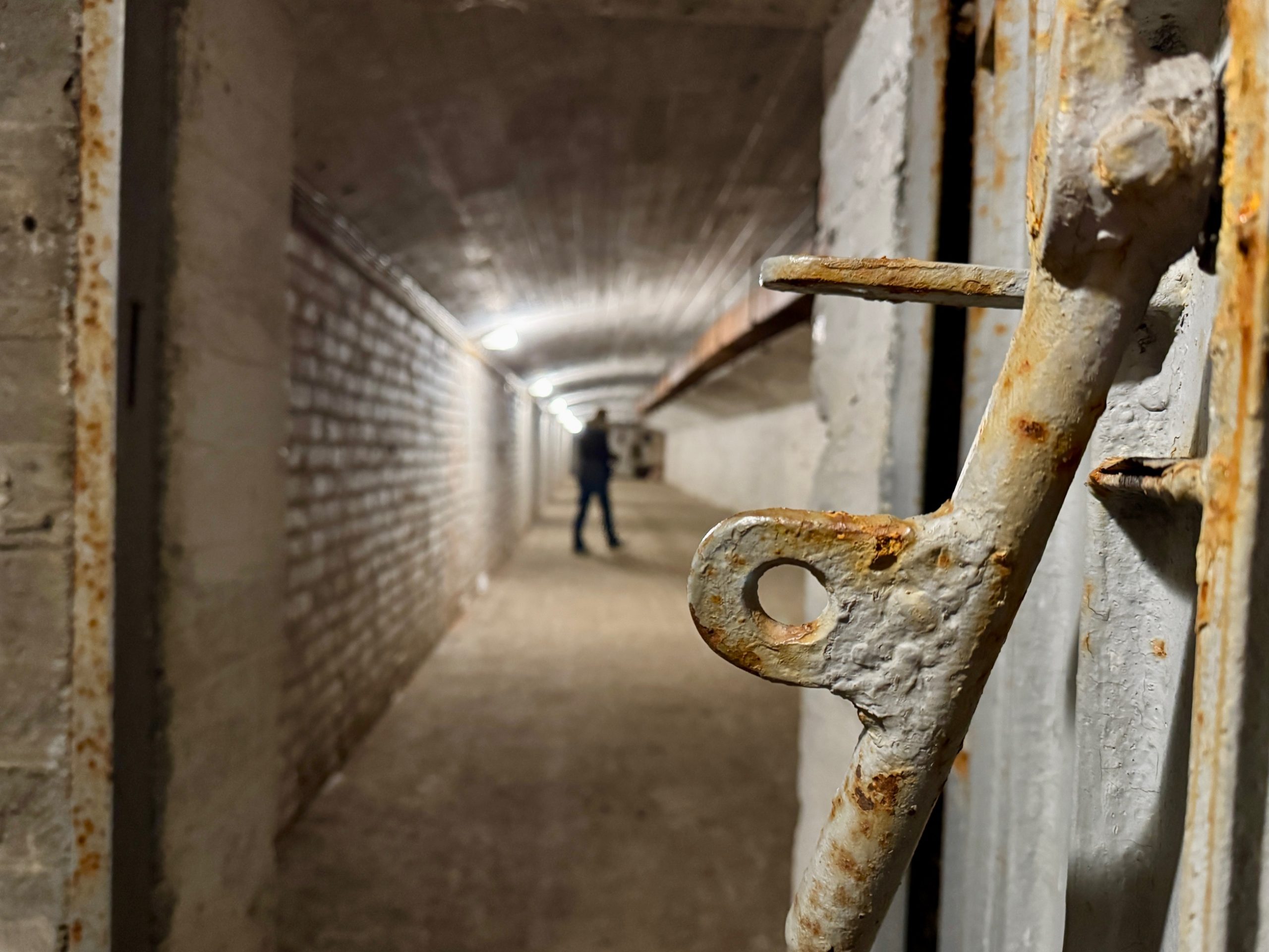 gang van de salpa linie in rucola