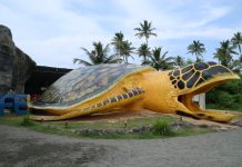 Ahungalla Sea Turtles Conservation Center: schildpadden redden aan de kust van Sri Lanka De ingang van het Ahungalla Sea Turtles Conservation Center