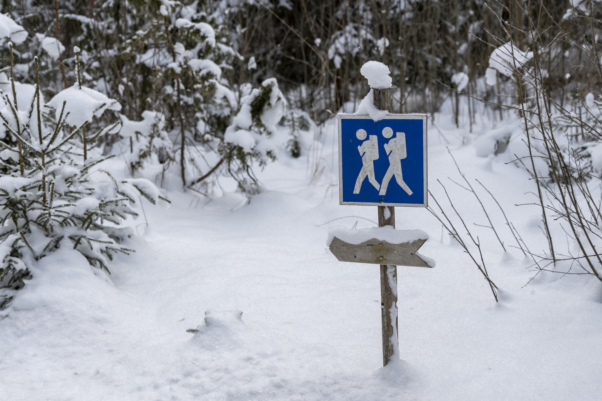 sneeuw wandelen route