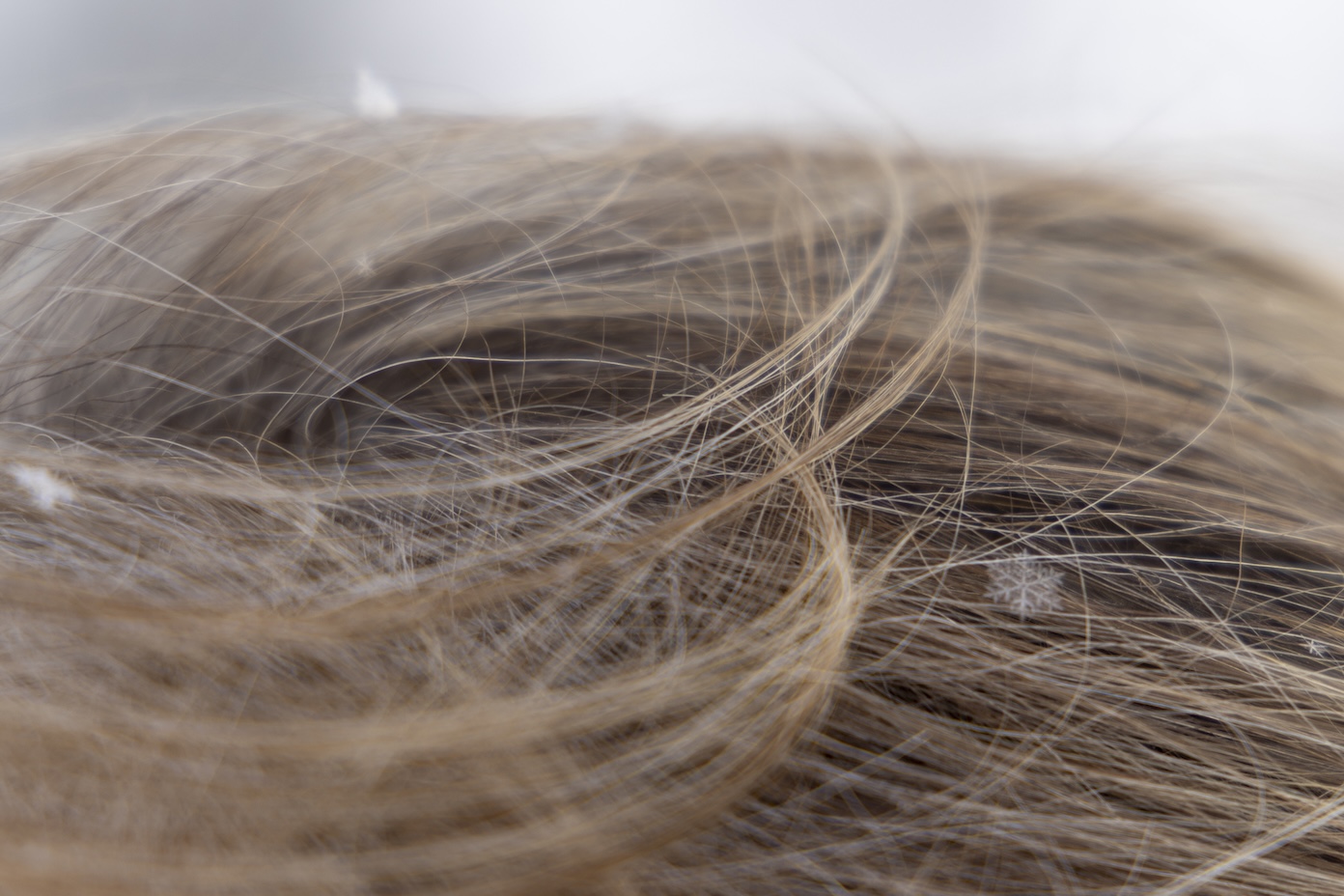 Prachtige sneeuwvlokjes in het haar