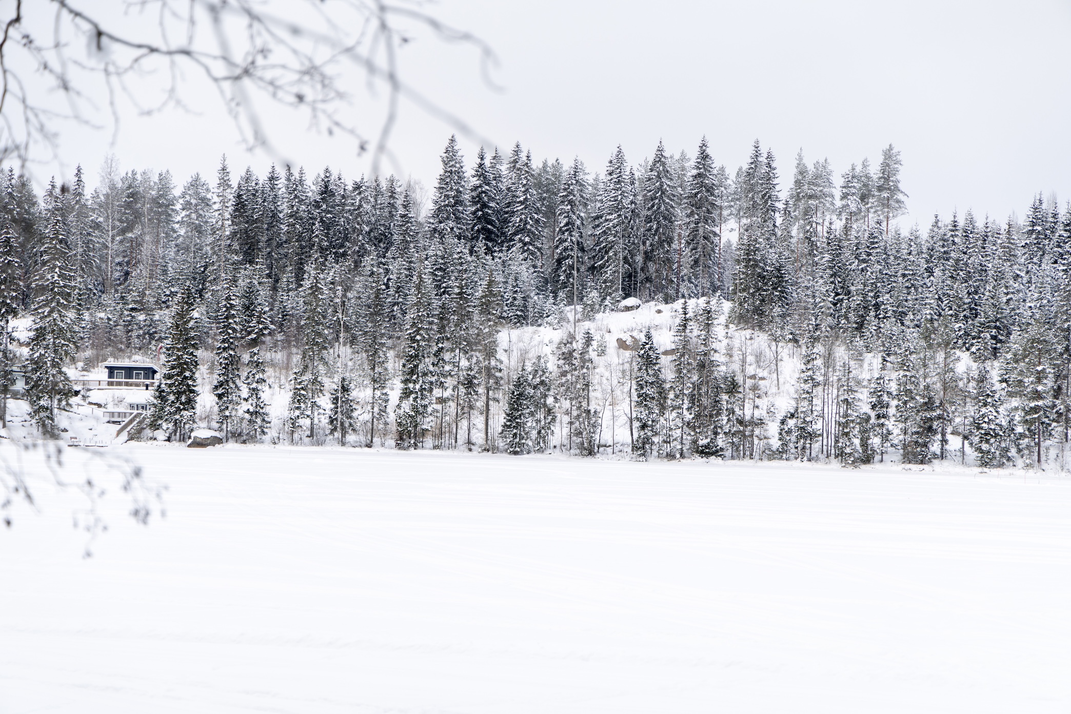 Sneeuwlandschap in Finland