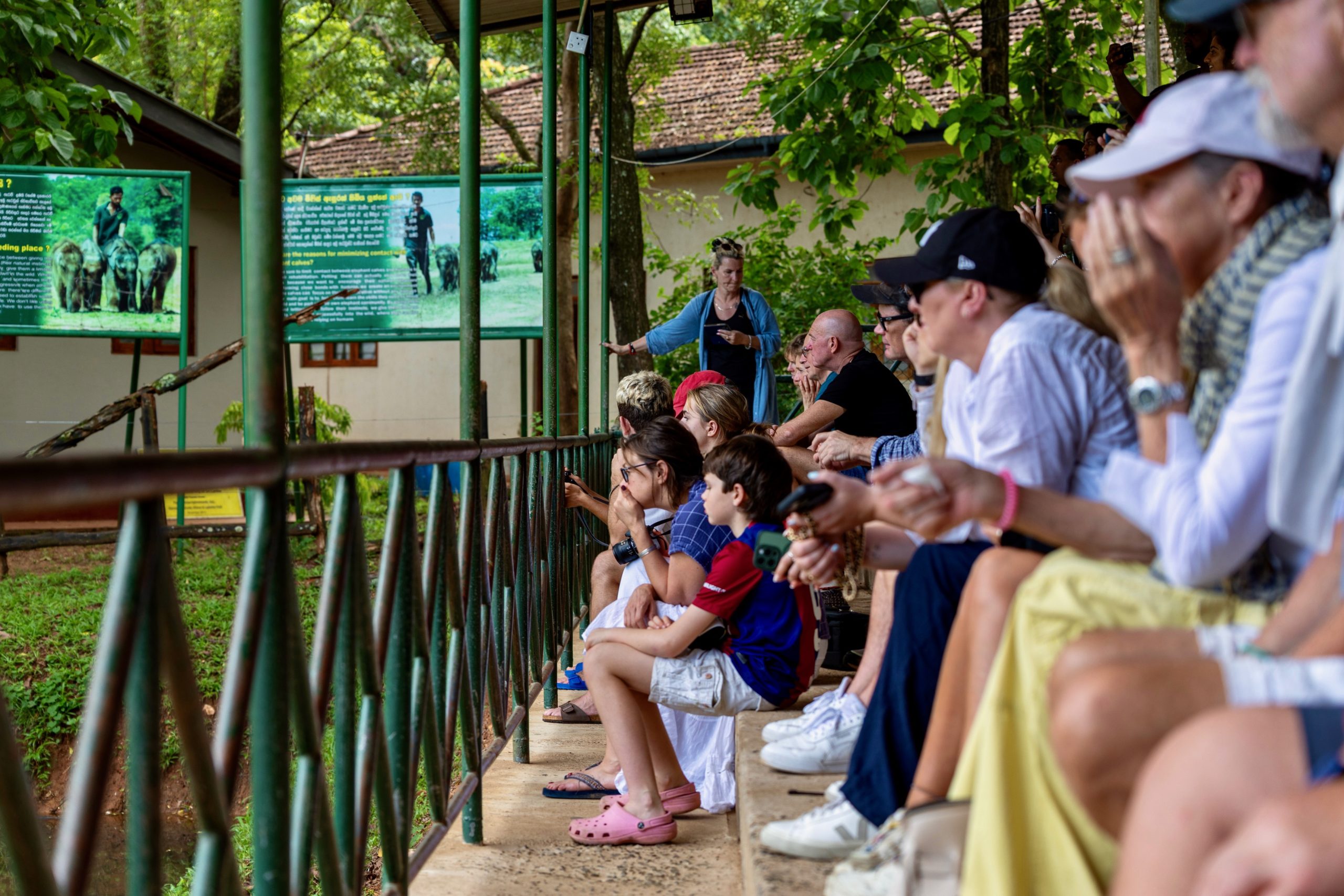 Elephant Transit Home tribune bij het voeden