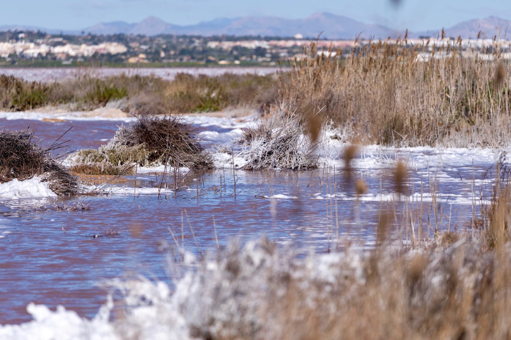 Laguna Rosa de Torrevieja