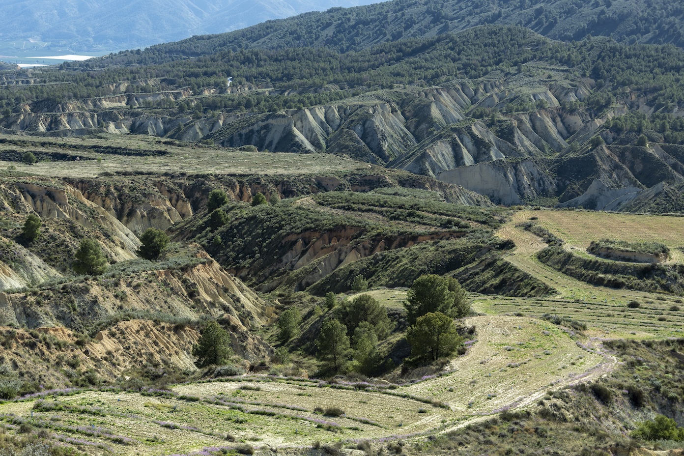 Uitzichtpunt op Barranco de Gebas in Murcia