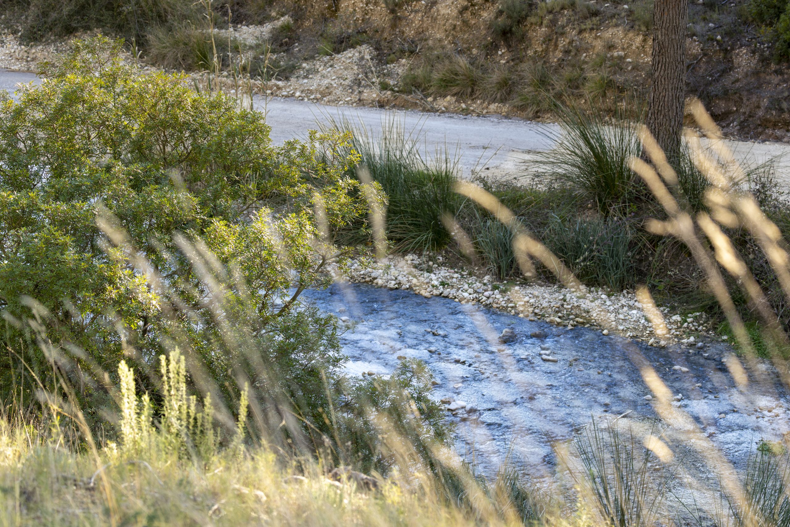 Baños de Somogil en de rivier