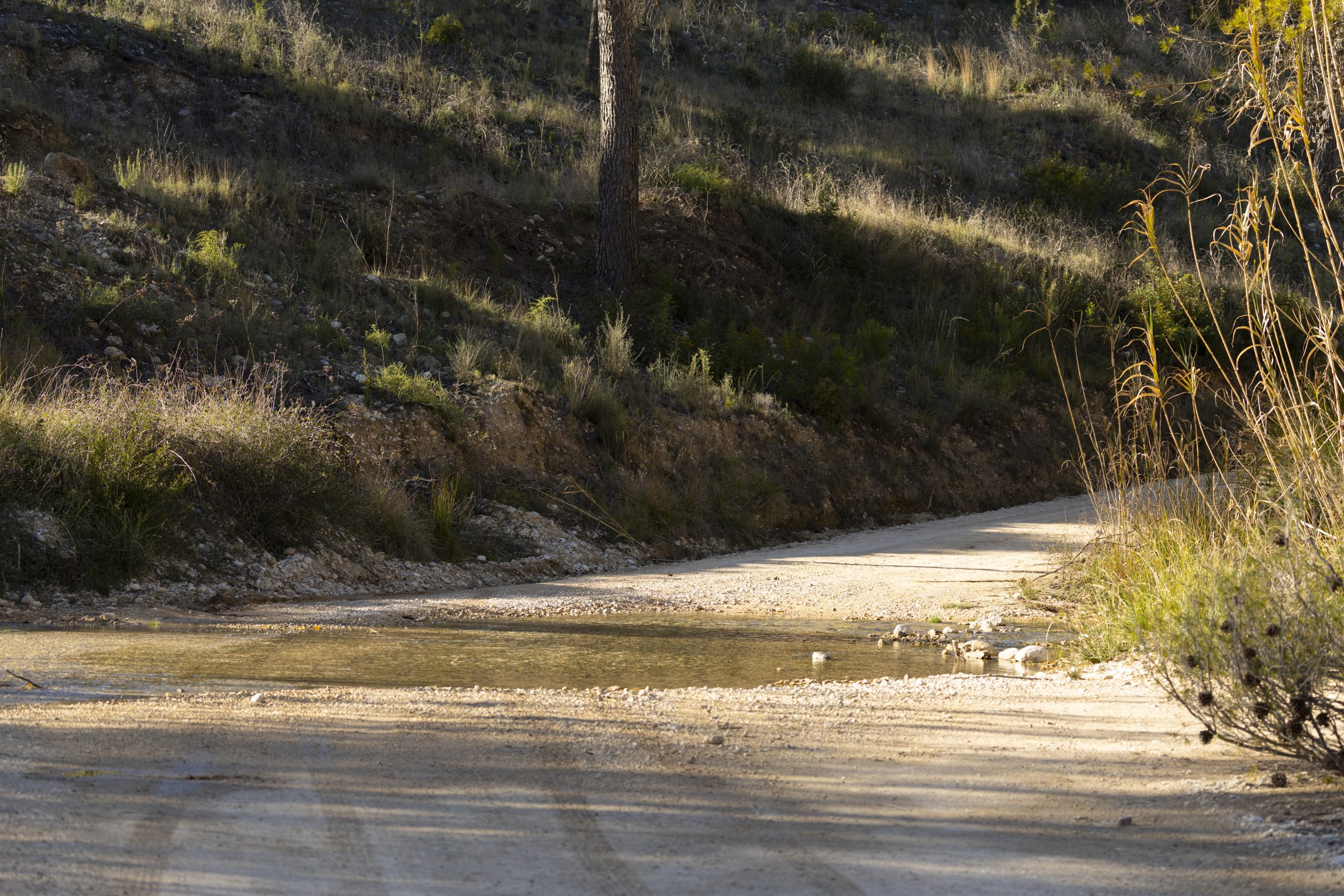 de route naar Baños de Somogil