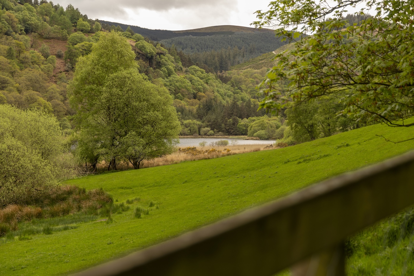 Lower Lake Glendalough
