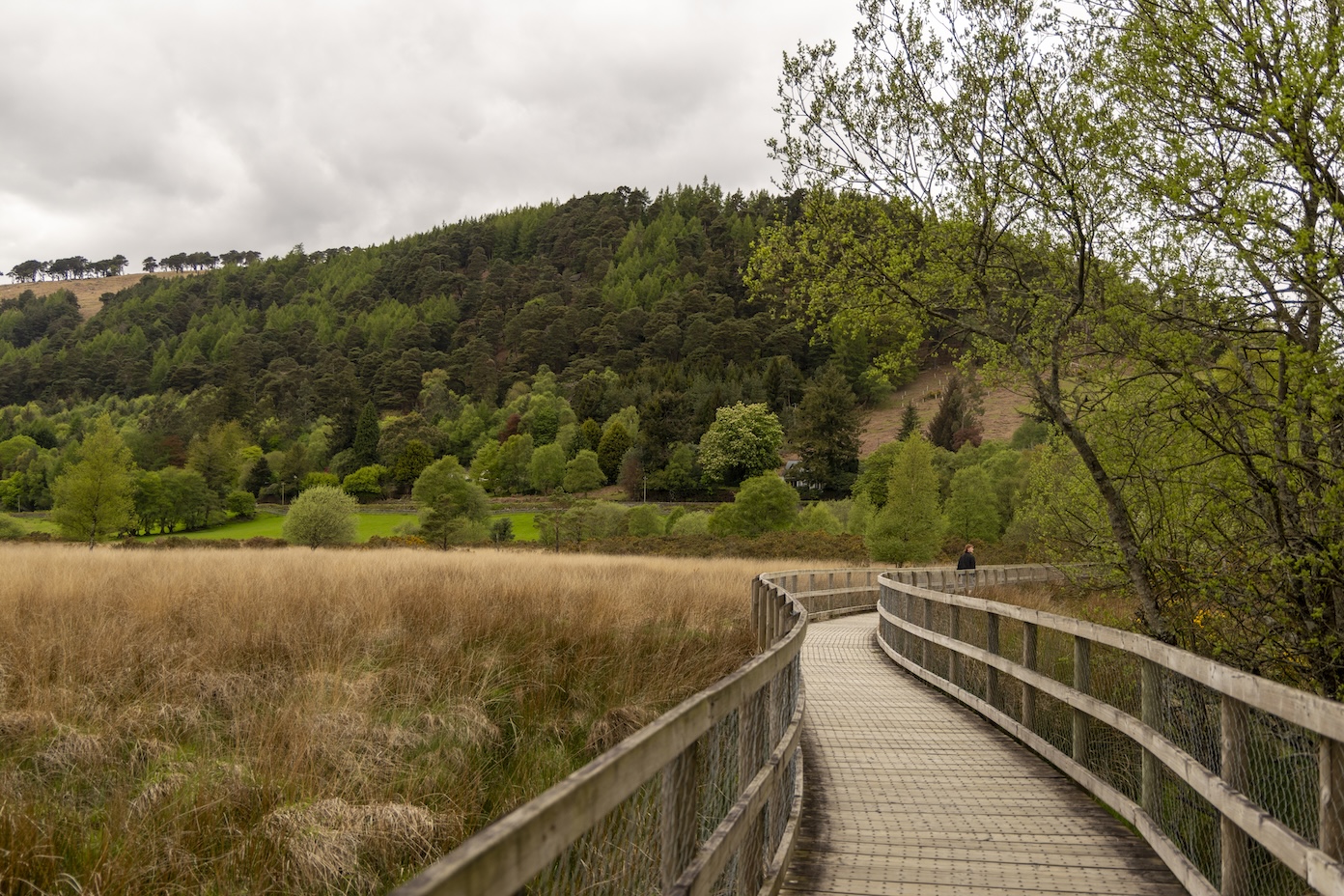 Wandelpad naar upper Lake