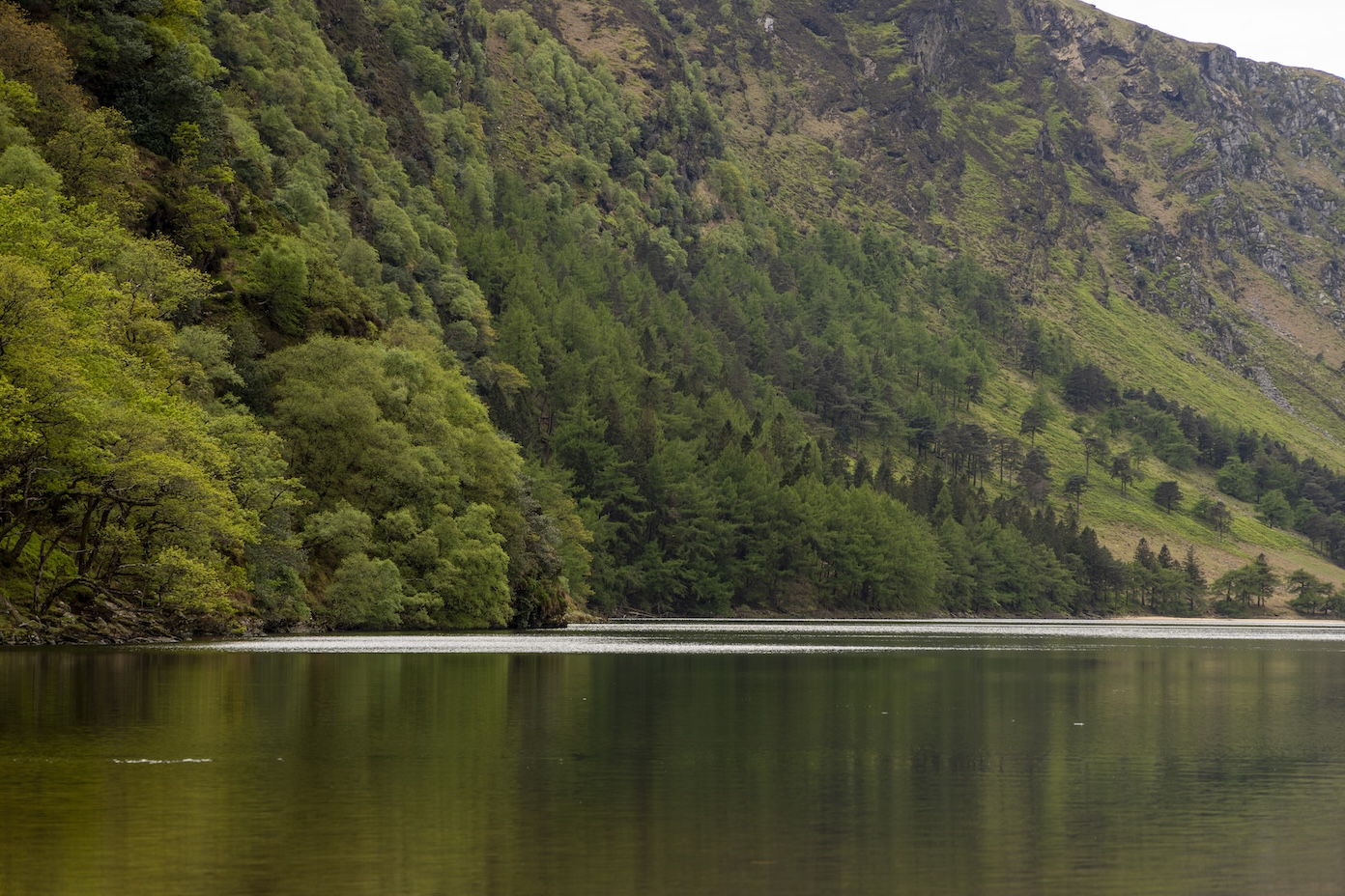 wicklow mountains