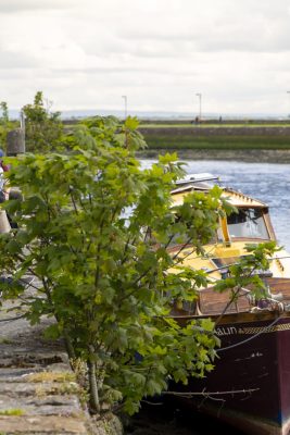 Bootje in Galway