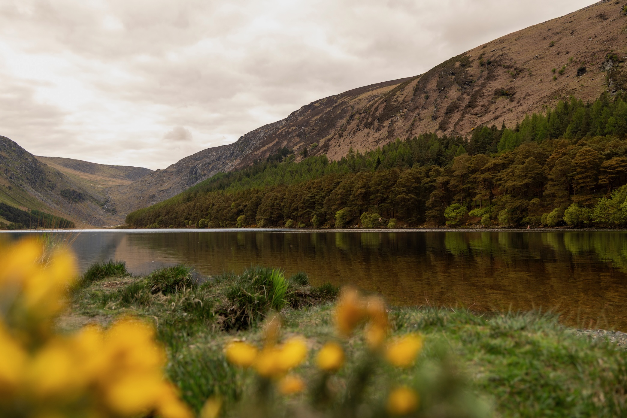 Upper Lake in het Wicklow Mountains National Park