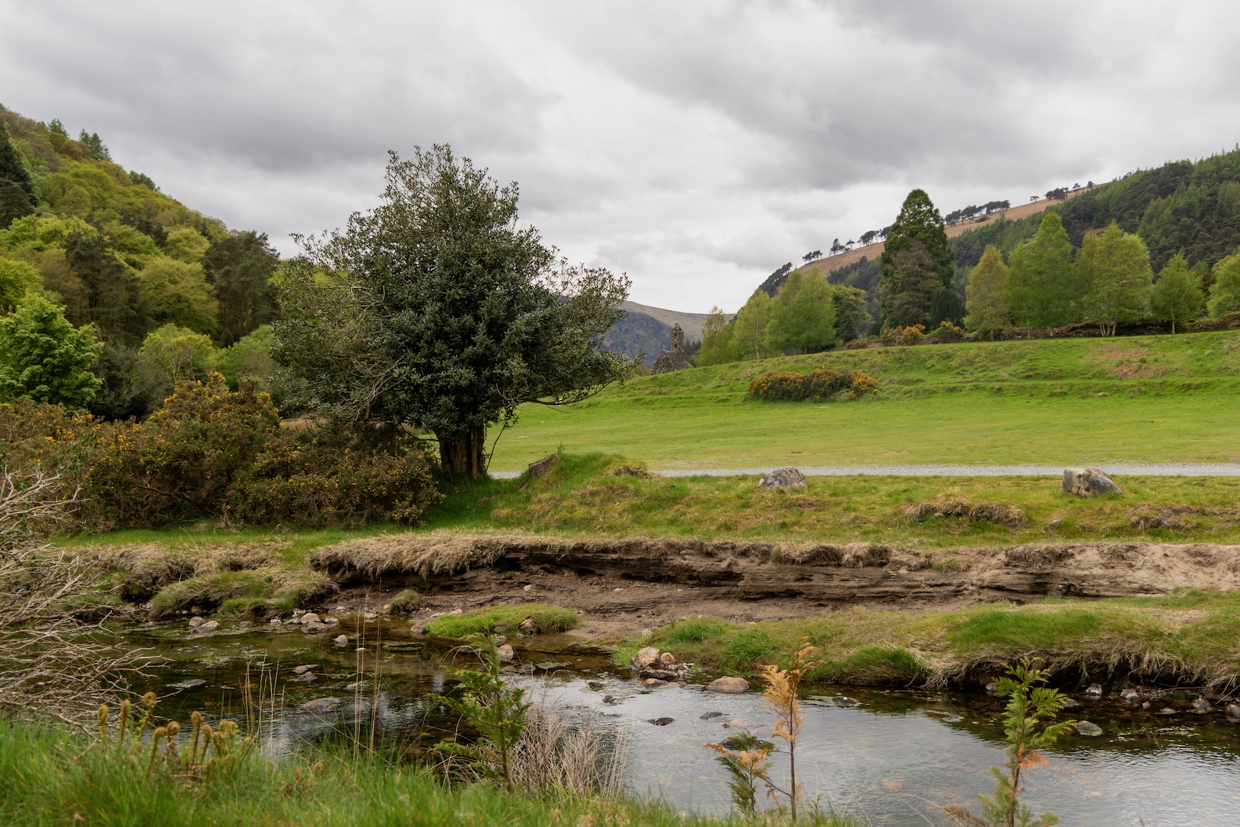 Wicklow Mountains National Park