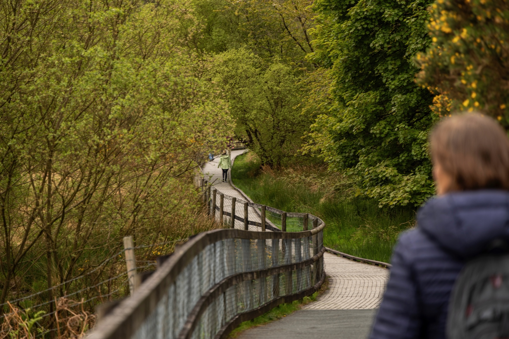 The Green Walk in Glendalough