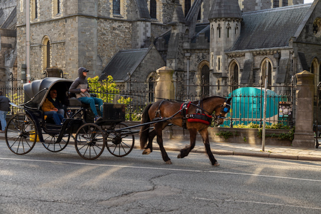 Stedentrip Dublin met paard en wagen