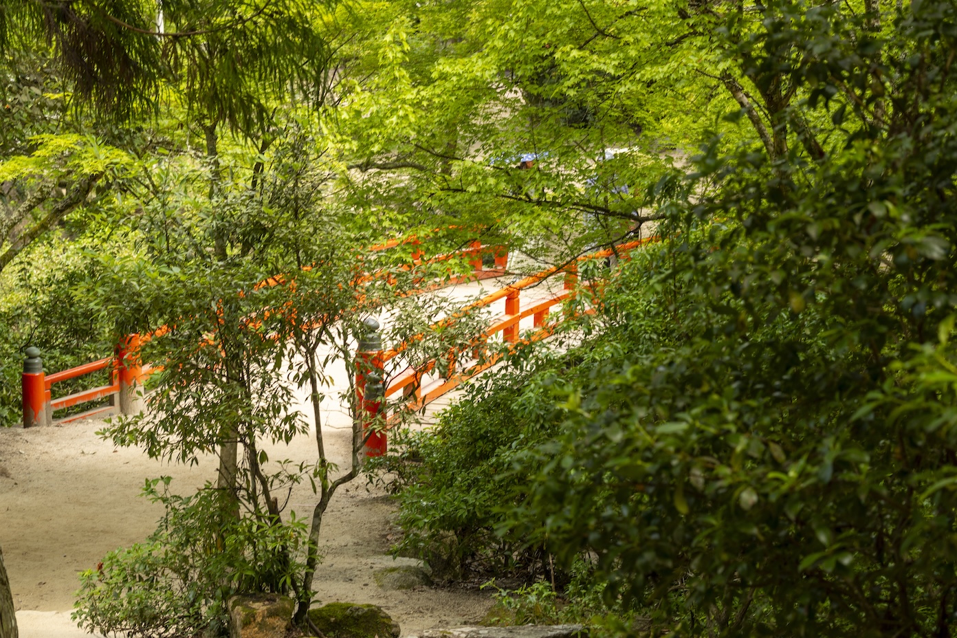 Momiji Bridge