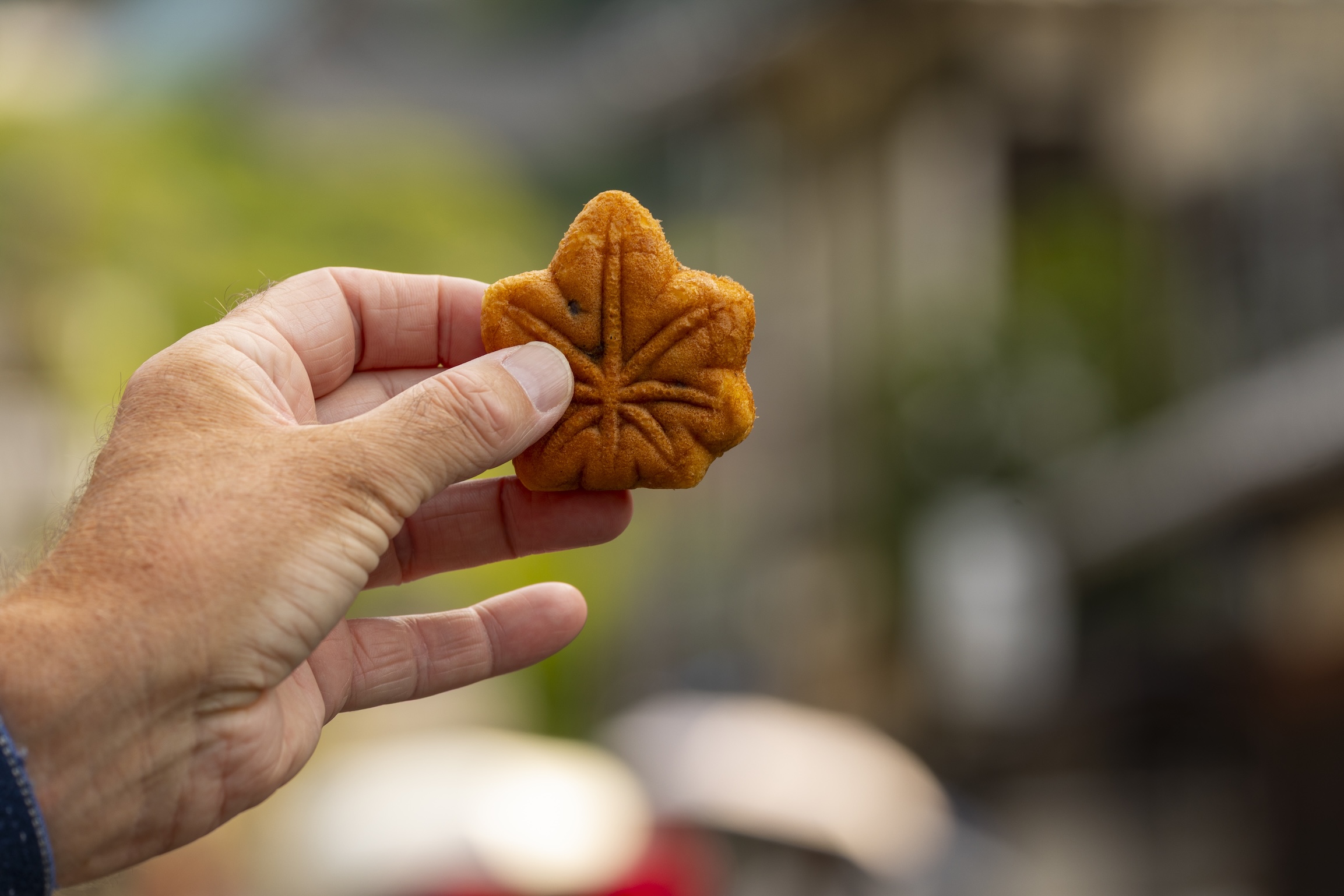 Momiji manjū