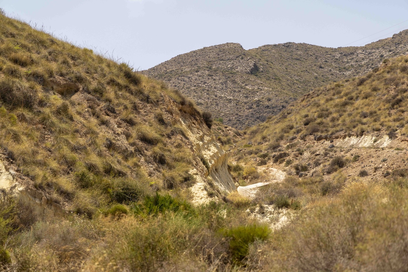 gredas Spanje