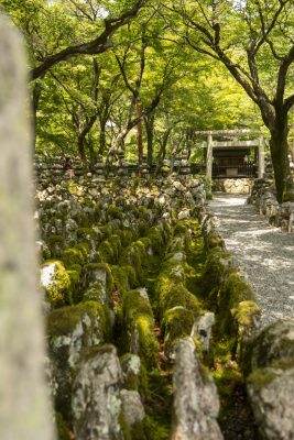 Adashino Nenbutsu-ji in Kyoto beelden met mos