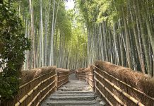 Bamboebos in Kyoto zonder toeristen: ontdek Chikurin Bamboo Forest Chikurin Bamboo Forest rustig bos