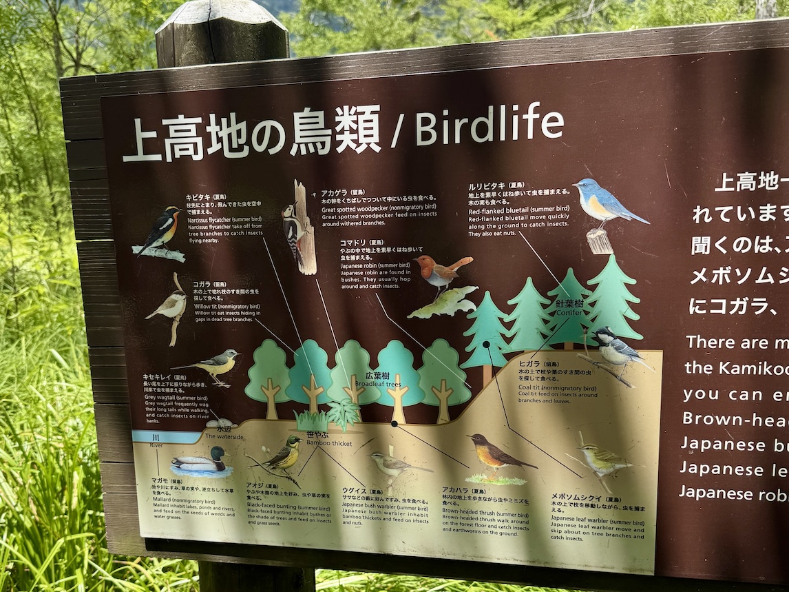 KamikÅchi bord met vogelsoorten