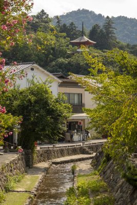 Mooi straatje in Miyajima Japan