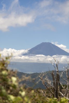 Mount Fuji zichtbaar