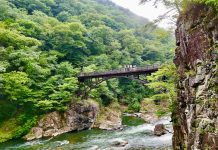 Nikko in 2 dagen met de auto: onze route langs de mooiste plekken Ryuokyo Canyon in Nikko en de brug er overheen
