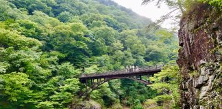 Nikko in 2 dagen met de auto: onze route langs de mooiste plekken Ryuokyo Canyon in Nikko en de brug er overheen