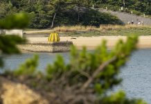 Naoshima in 1 dag met de auto: route, ferry & slimme tips The Yellow Pumpkin van Kusama in Japan