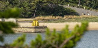 Naoshima in 1 dag met de auto: route, ferry & slimme tips The Yellow Pumpkin van Kusama in Japan