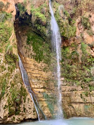 Ein Gedicht Davids waterval