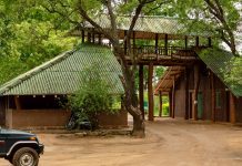 Udawalawe National Park Safari: olifanten van heel dichtbij op Sri Lanka De poort van Udawalawe National Park